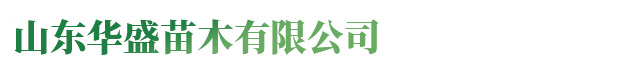 壓濾機(jī)廠(chǎng)家